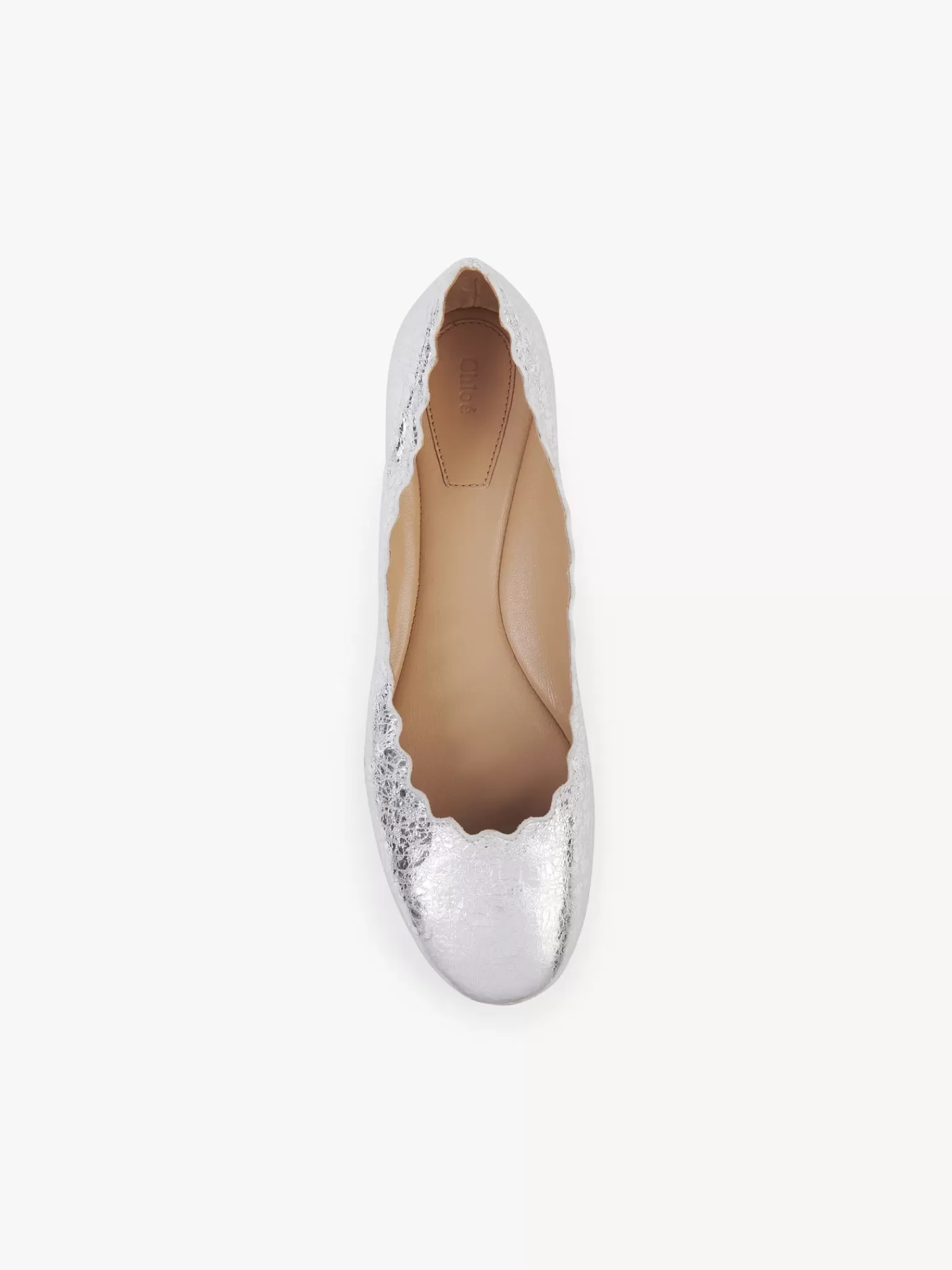 Femme Chloé Ballerines Lauren